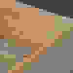 EGGER