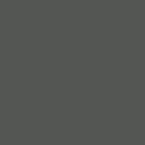 ABSB 71431/OHNE Antracit 164 AM/164 UM MATT 43/1