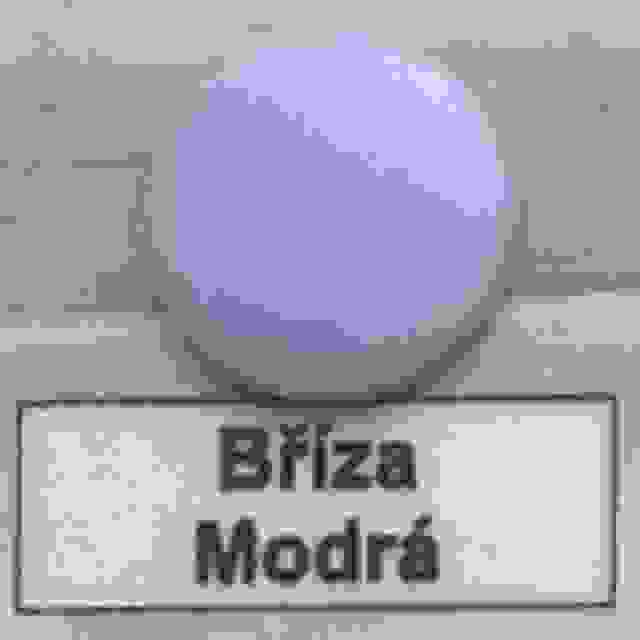 Krytka konfirmátu bříza modrá